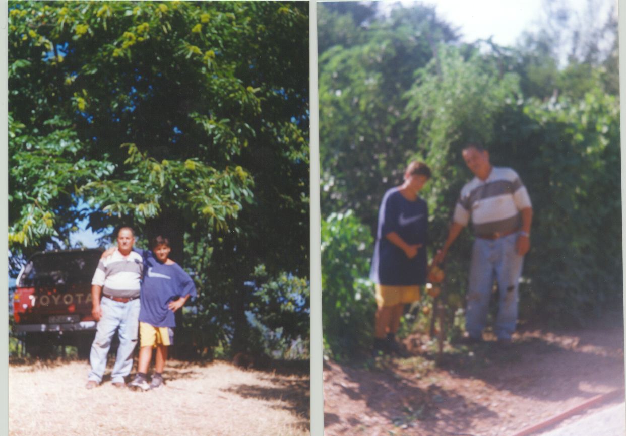 Con il mio nonno l'estate di 1997 sotto della castagna a SanPietro Apostolo e con gli pomedori delli Gacciulli